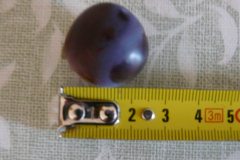 P1050274