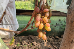 preobraze-38